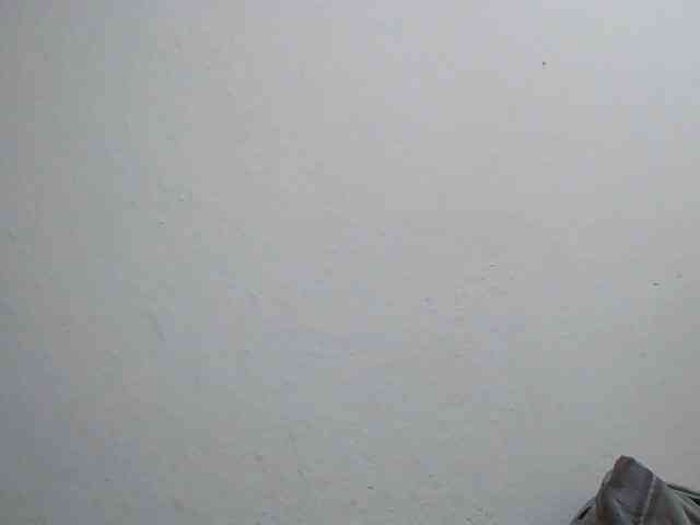 Zinah1 webcam