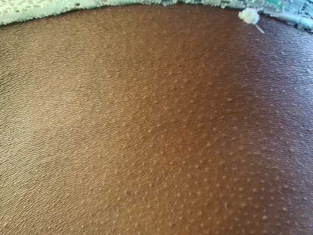 Tasty-titties