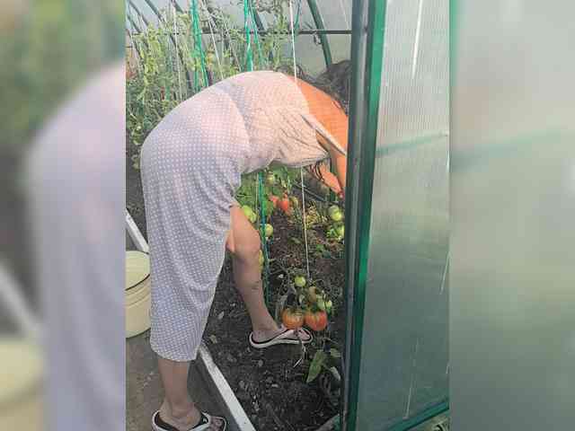 Bez-tormozov webcam