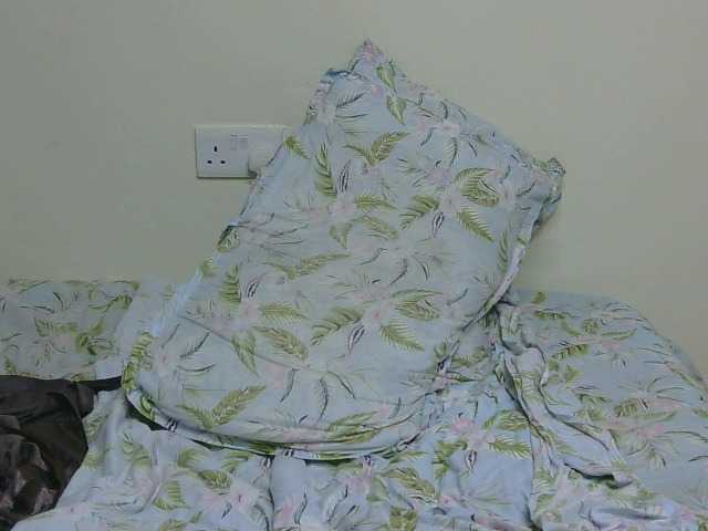 Bellavida