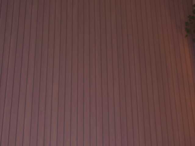 WindyButterfly's BongaCams show and profile