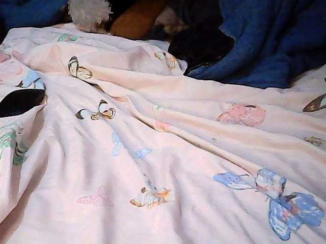 Preview of beautybrown