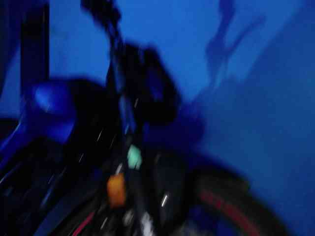 Carolinhe webcam