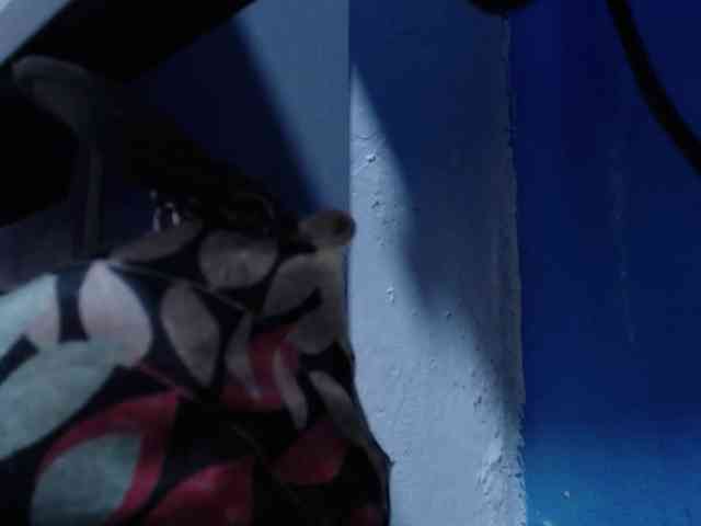 Carolinhe webcam