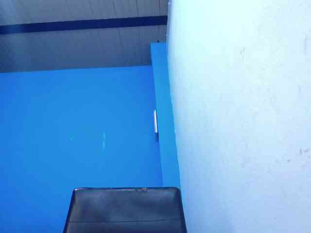 Carolinhe webcam