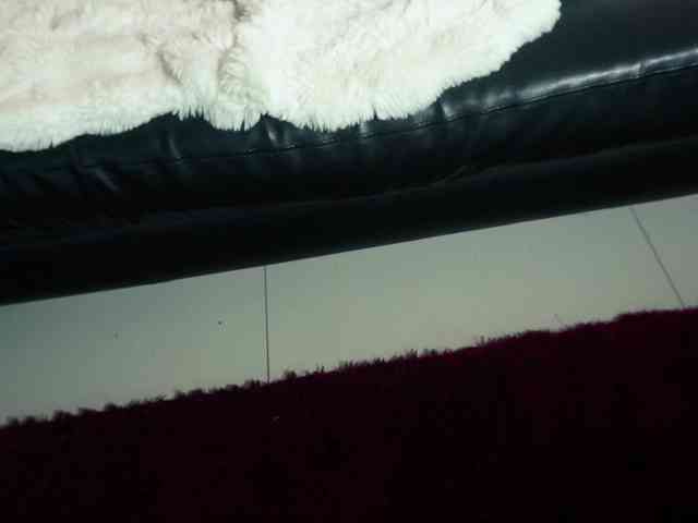 SlowlyLolly44 webcam