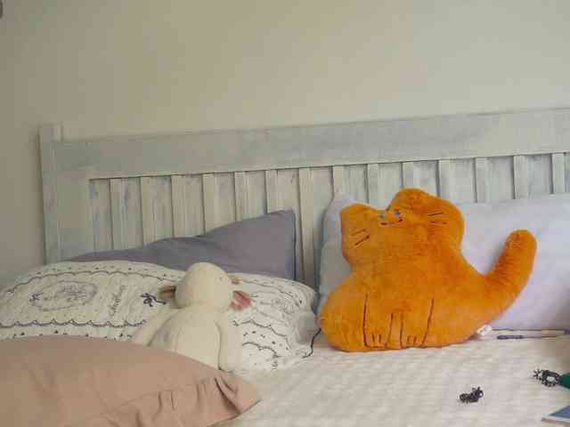 SlowlyLolly44 webcam