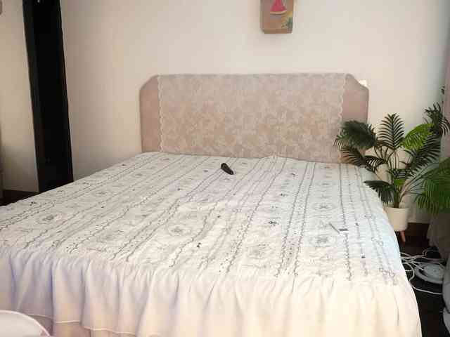 SlowlyLolly44 webcam