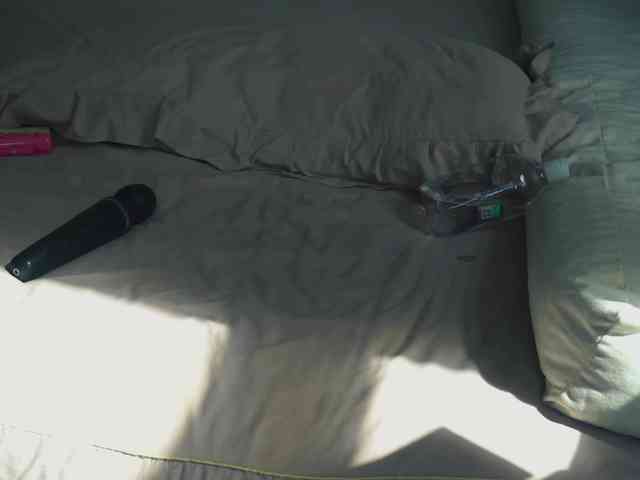 SlowlyLolly44 webcam