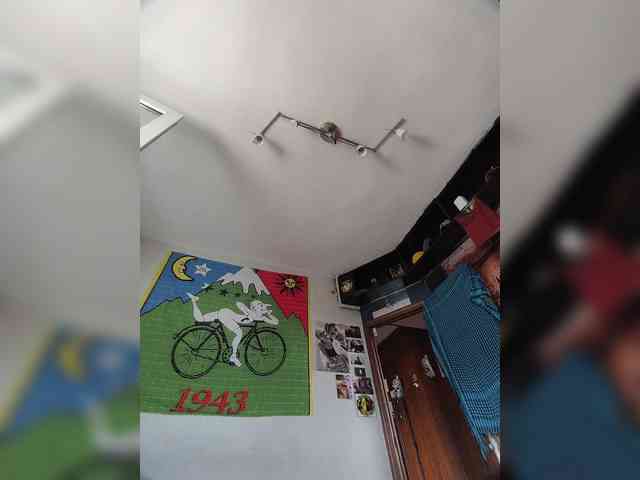 pollonspanishh