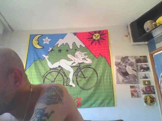 pollonspanishh