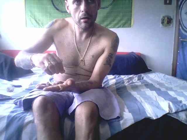pollonspanishh pollonspanishh