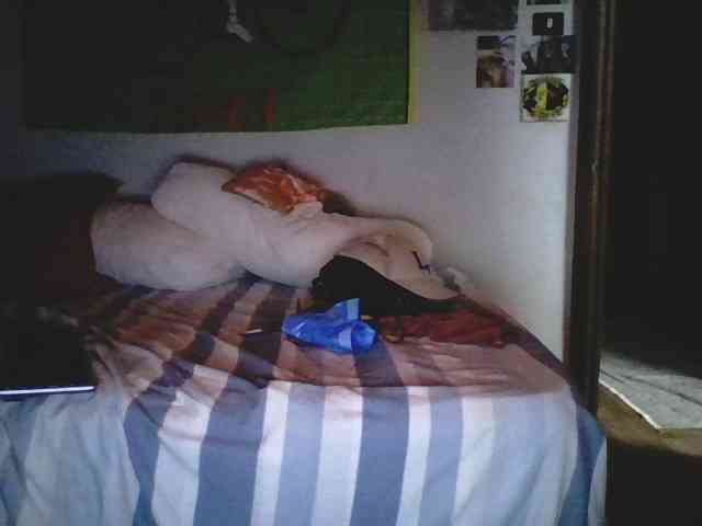 pollonspanishh pollonspanishh