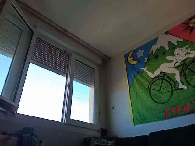 pollonspanishh