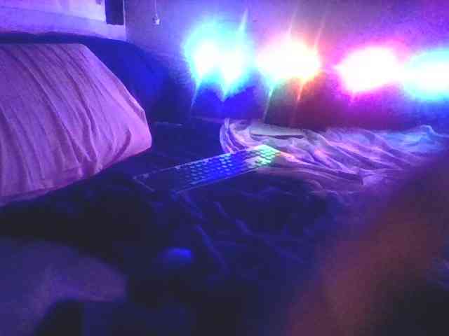 pollonspanishh