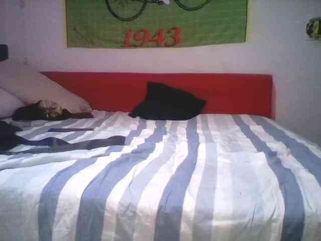 pollonspanishh