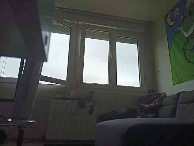 pollonspanishh