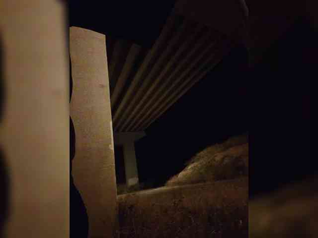 pollonspanishh