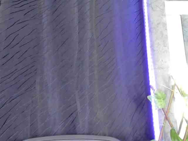 tatianasquirthot webcam