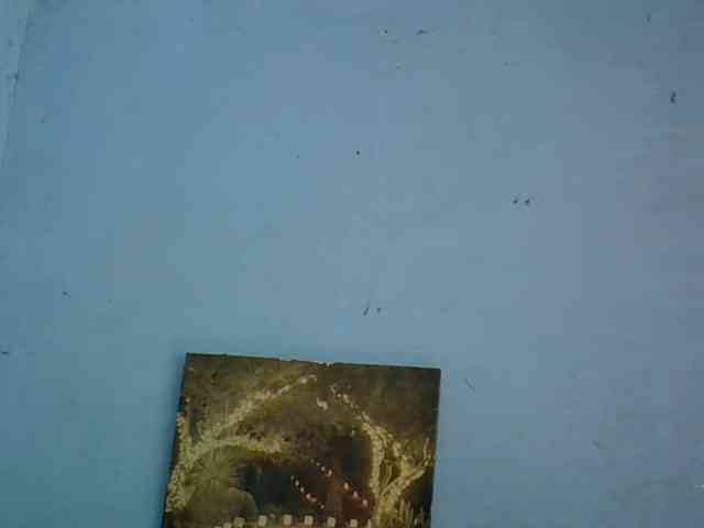 GoldenGoddess1 webcam