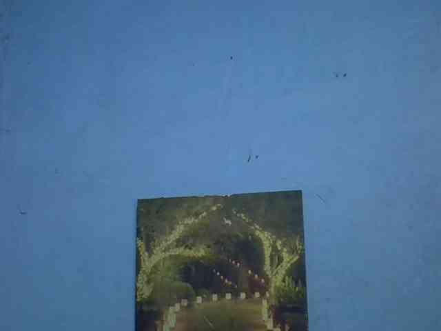 GoldenGoddess1 webcam