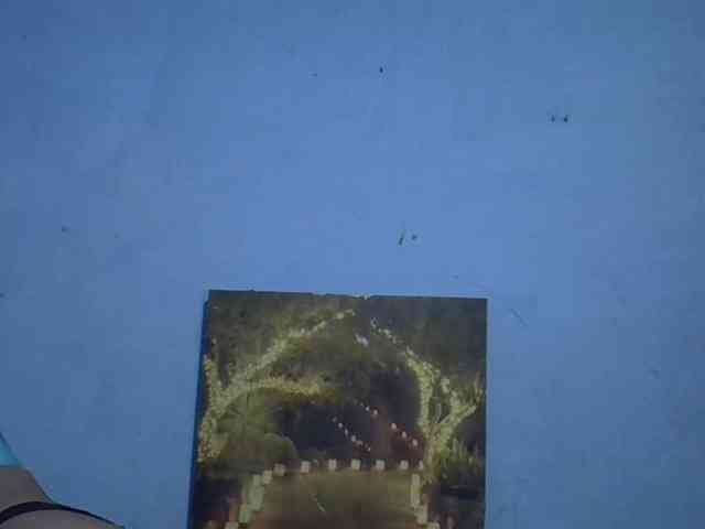 GoldenGoddess1 webcam