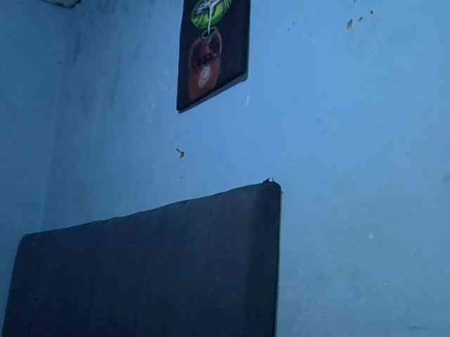 GoldenGoddess1 webcam