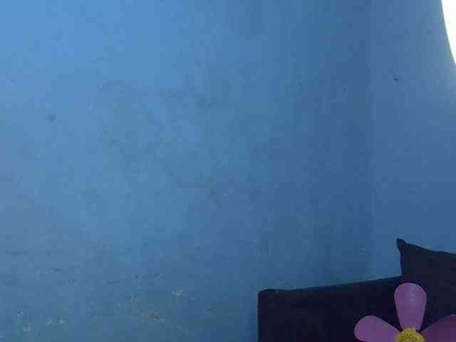 GoldenGoddess1 webcam