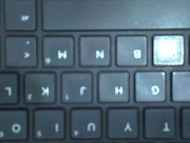 GoldenGoddess1 webcam