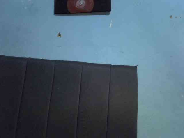 GoldenGoddess1 webcam