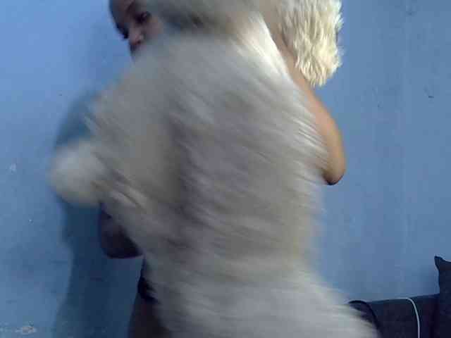 GoldenGoddess1 webcam