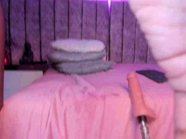 Amber-fox webcam