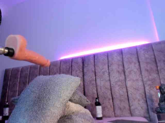 Amber-fox webcam