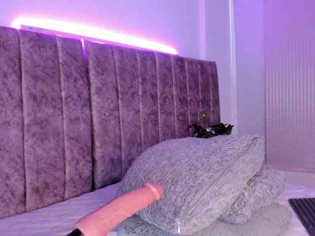Amber-fox webcam