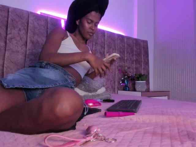 Amber-fox webcam
