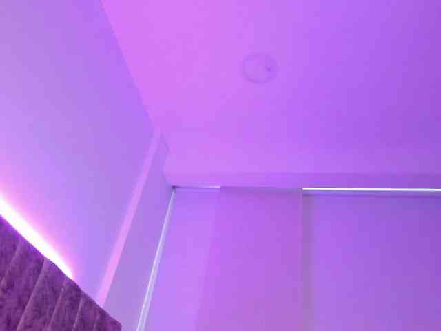 Amber-fox webcam