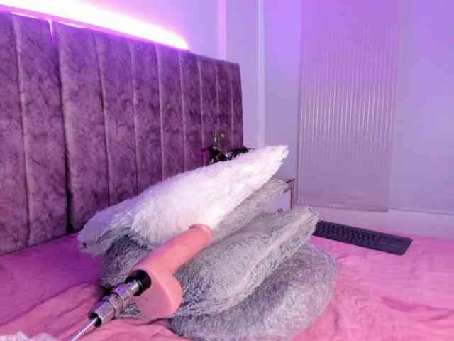 Amber-fox webcam