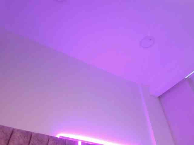 Amber-fox webcam