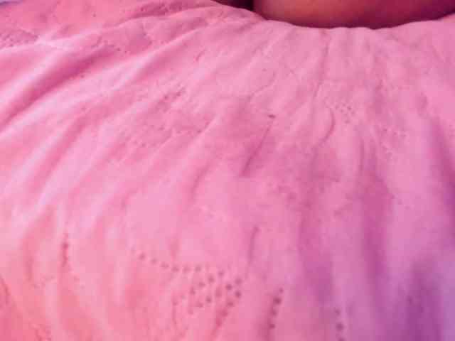 Amber-fox webcam