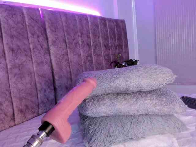 Amber-fox webcam