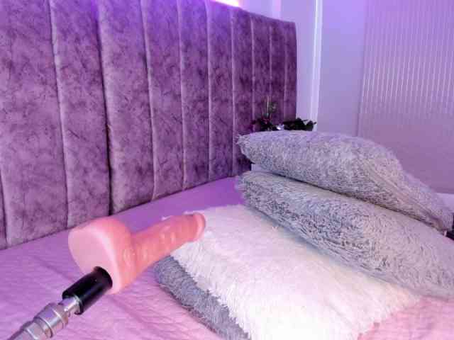 Amber-fox webcam