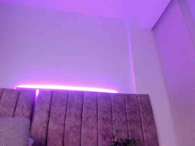 Amber-fox webcam
