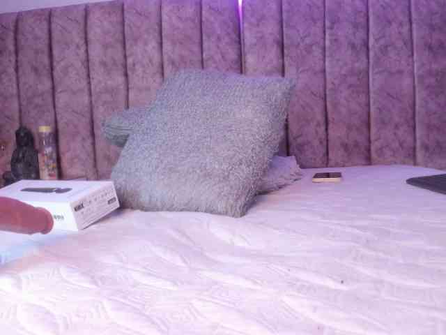 Amber-fox webcam