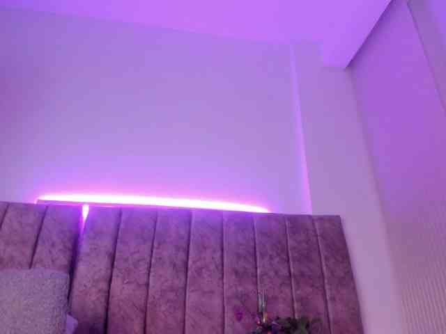 Amber-fox webcam
