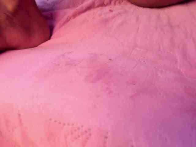 Amber-fox webcam