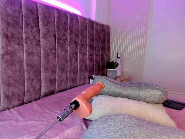 Amber-fox webcam