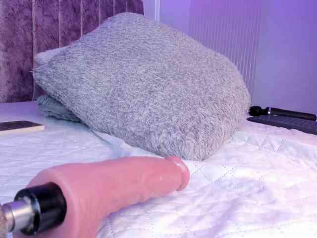 Amber-fox webcam