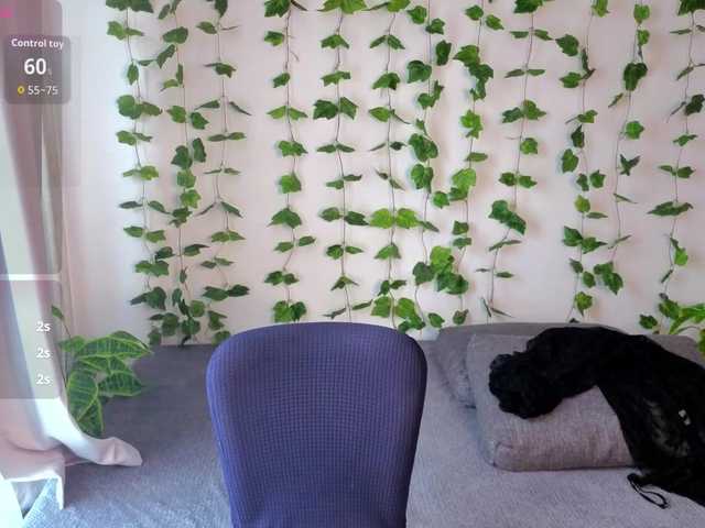 Preview of monikafoxys