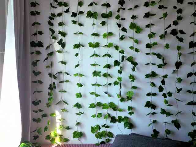 Модель: MonikaFoxys