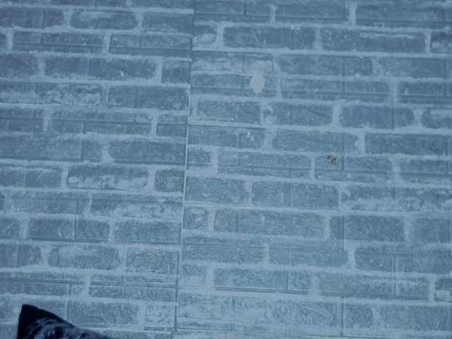 LunaCurlly's BongaCams show and profile